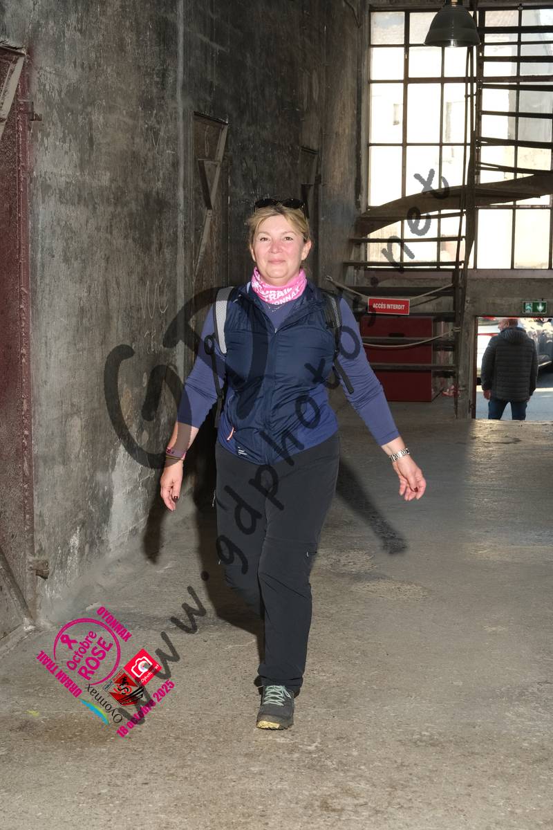 3625696