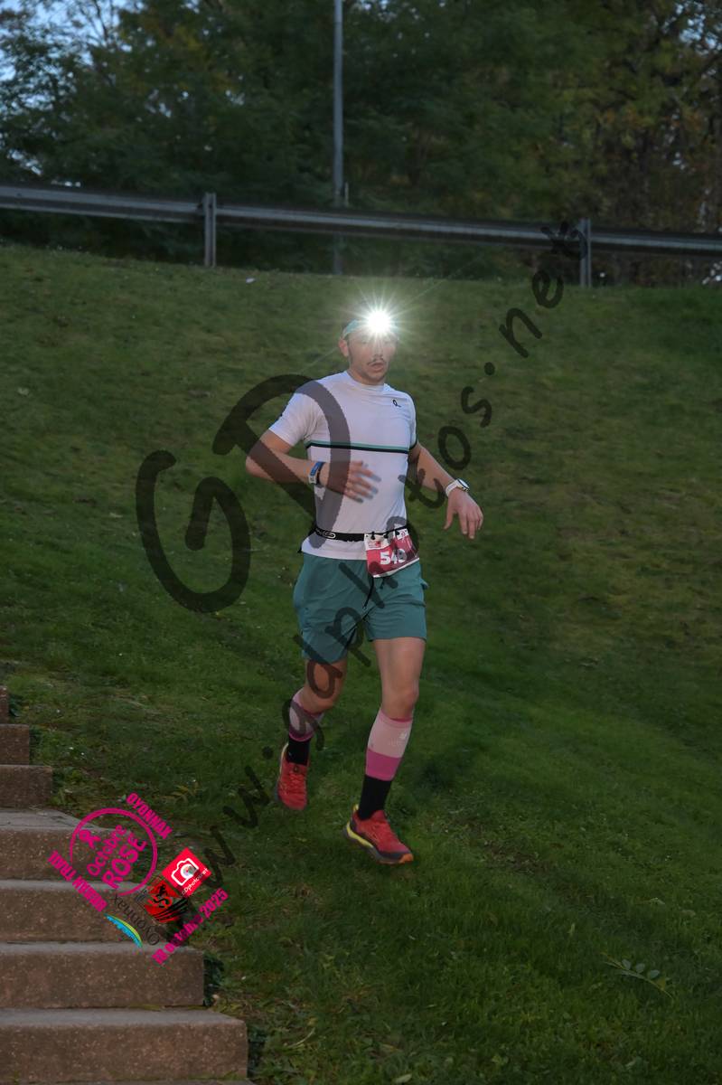 3626178