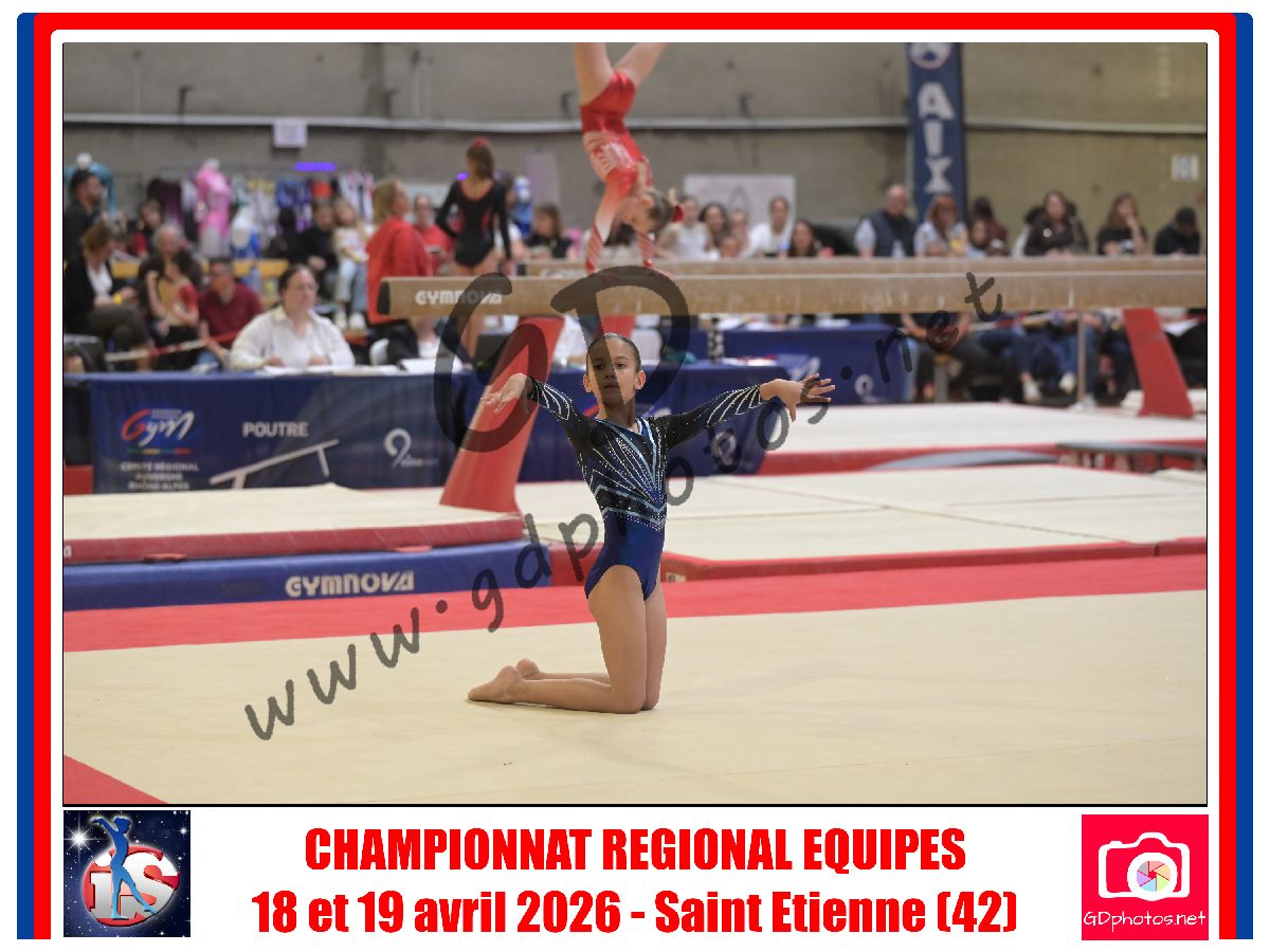 1142393