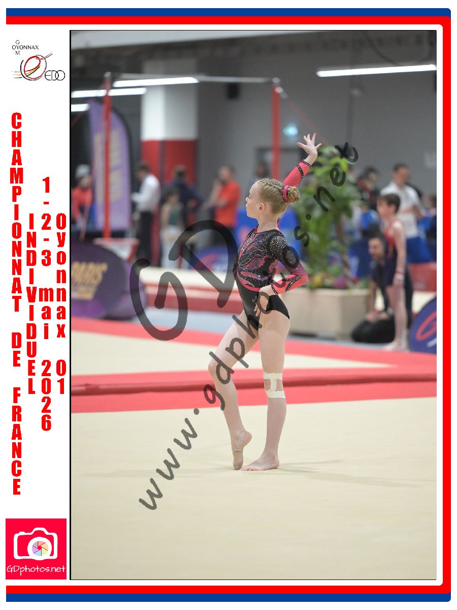 5336460
