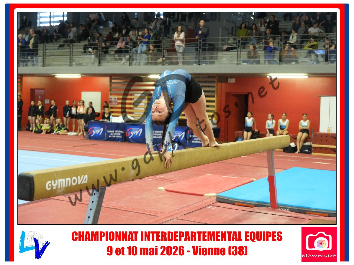 1163774