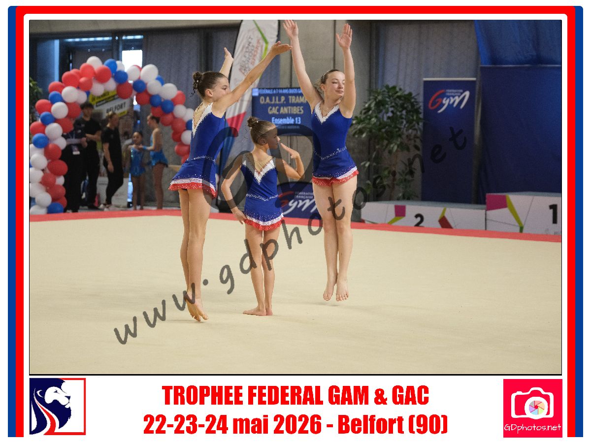 5390554
