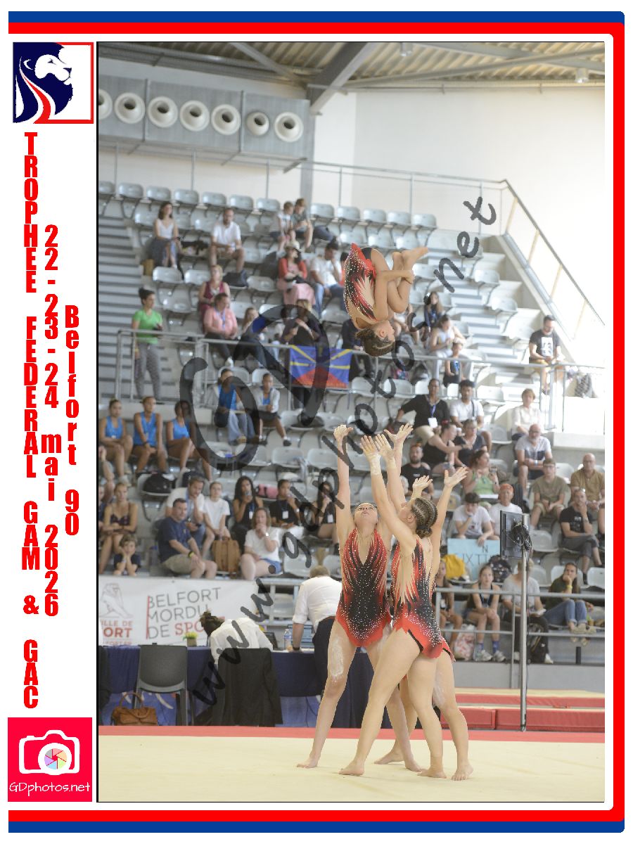 5393016