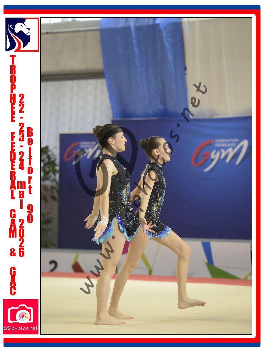 5393317