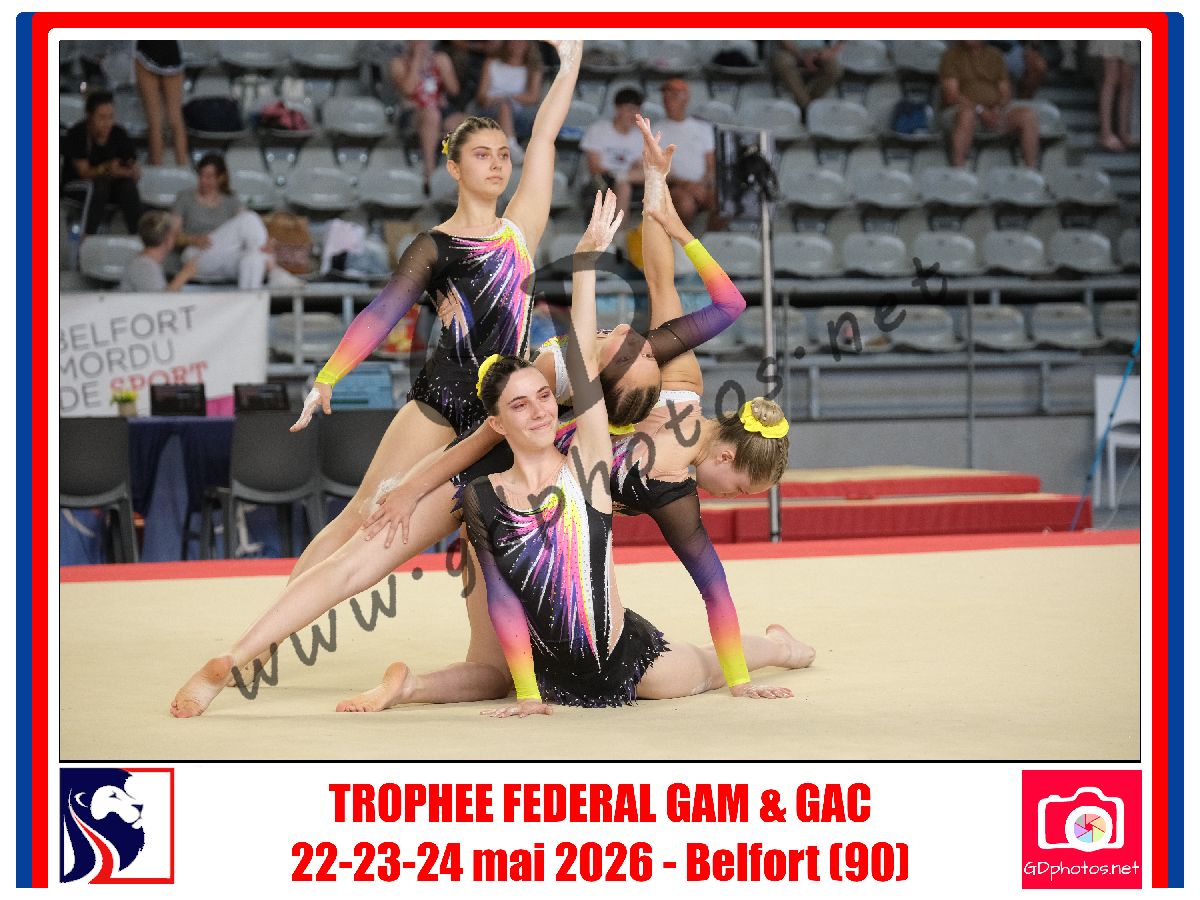 5397454