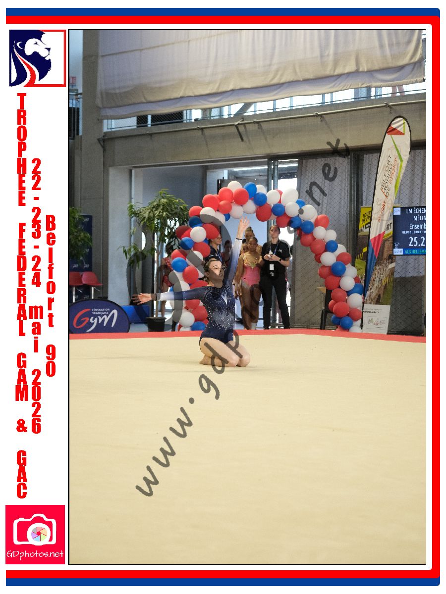 5397517