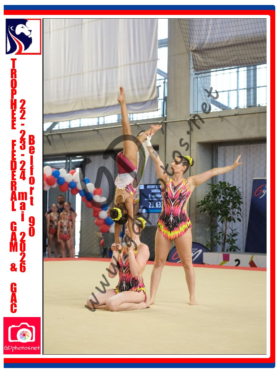 5397795