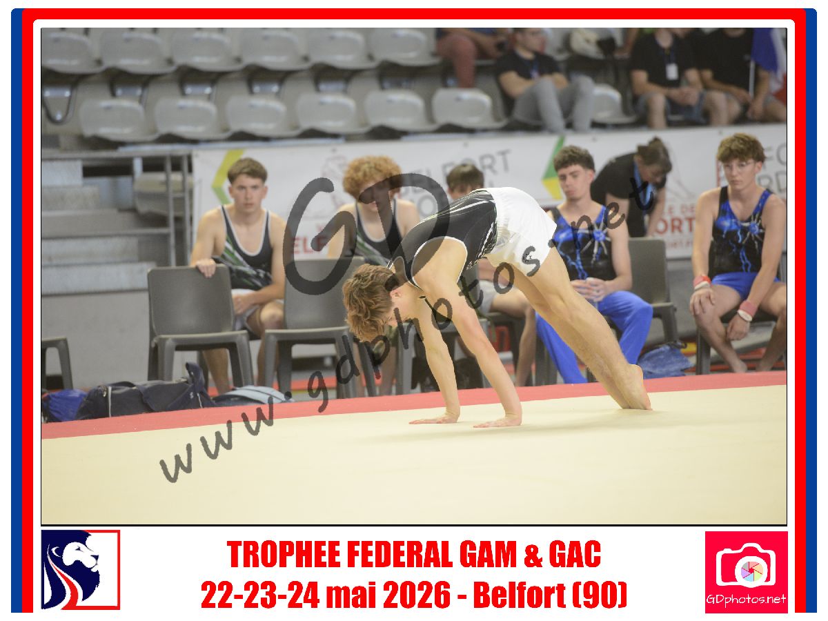 5376547
