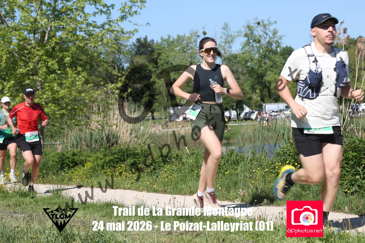 3630582