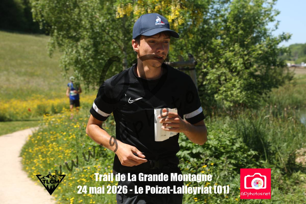 3631050