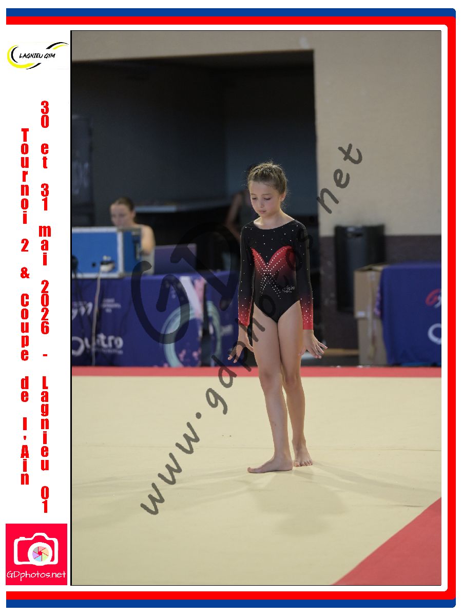 4562653