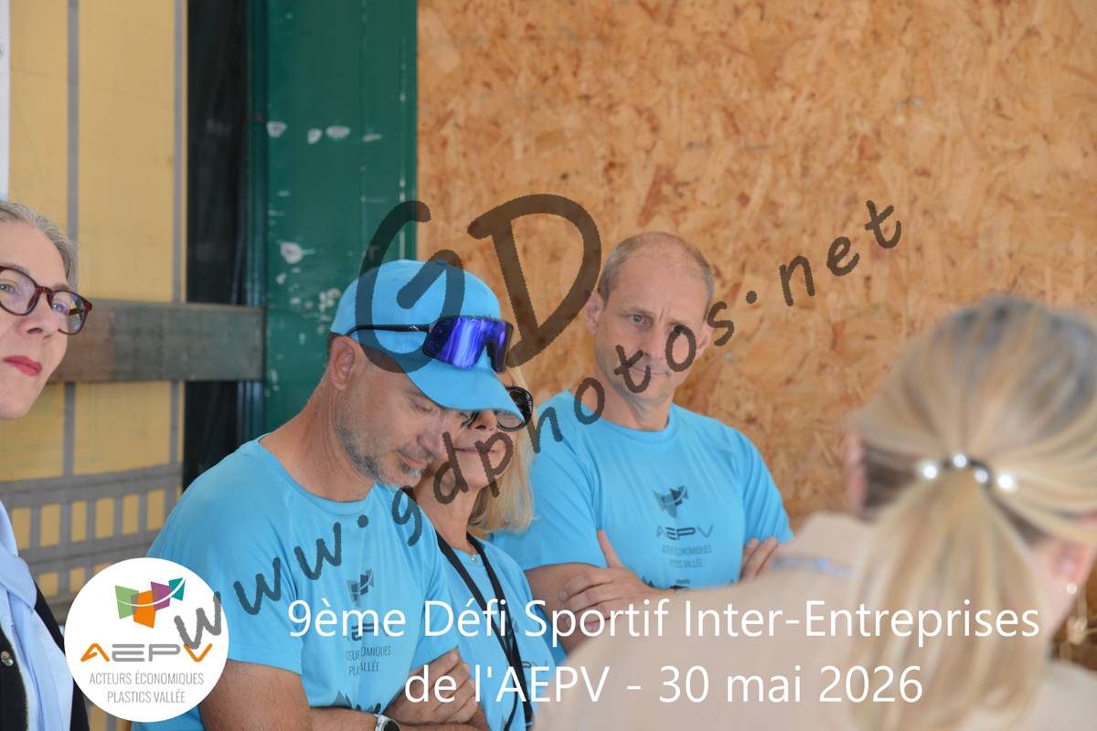 3631986
