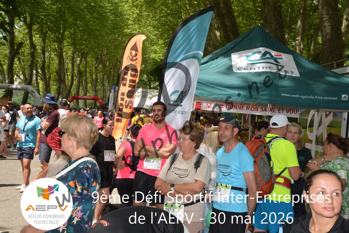 3632005