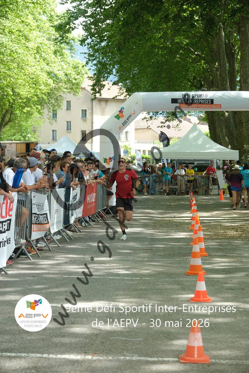 3634605