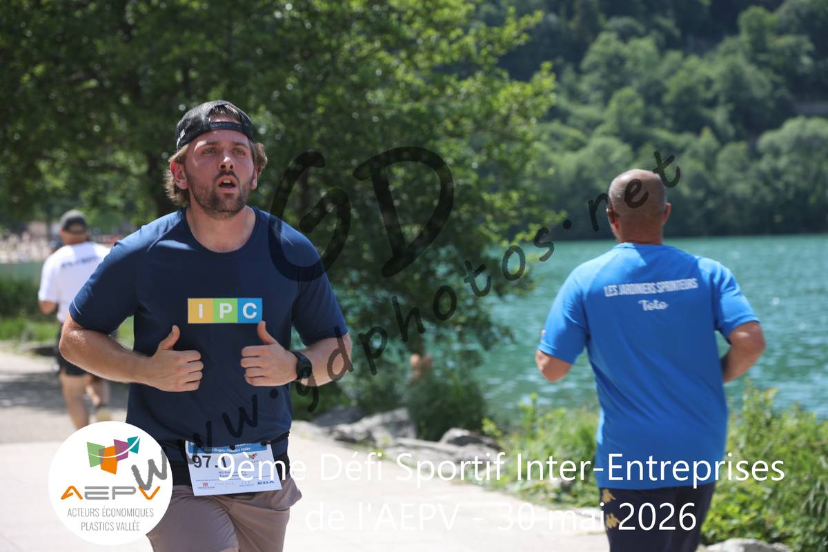 3633067