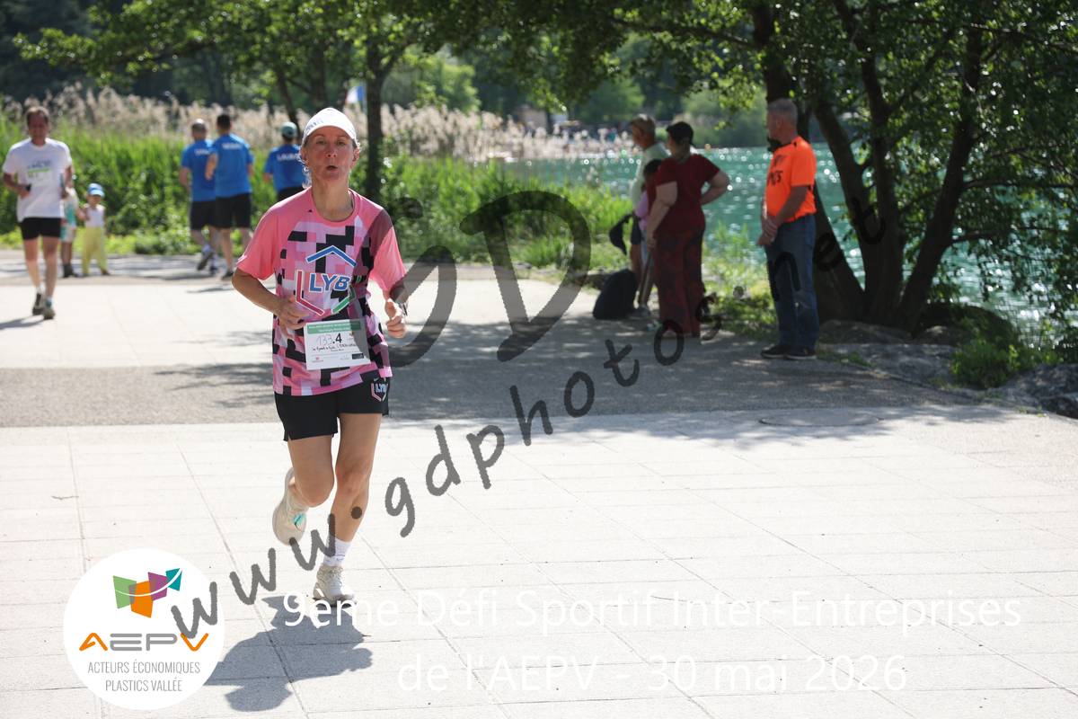 3634216