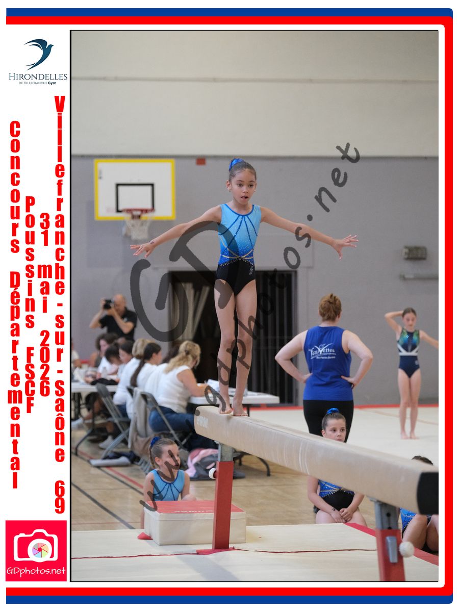 3636287