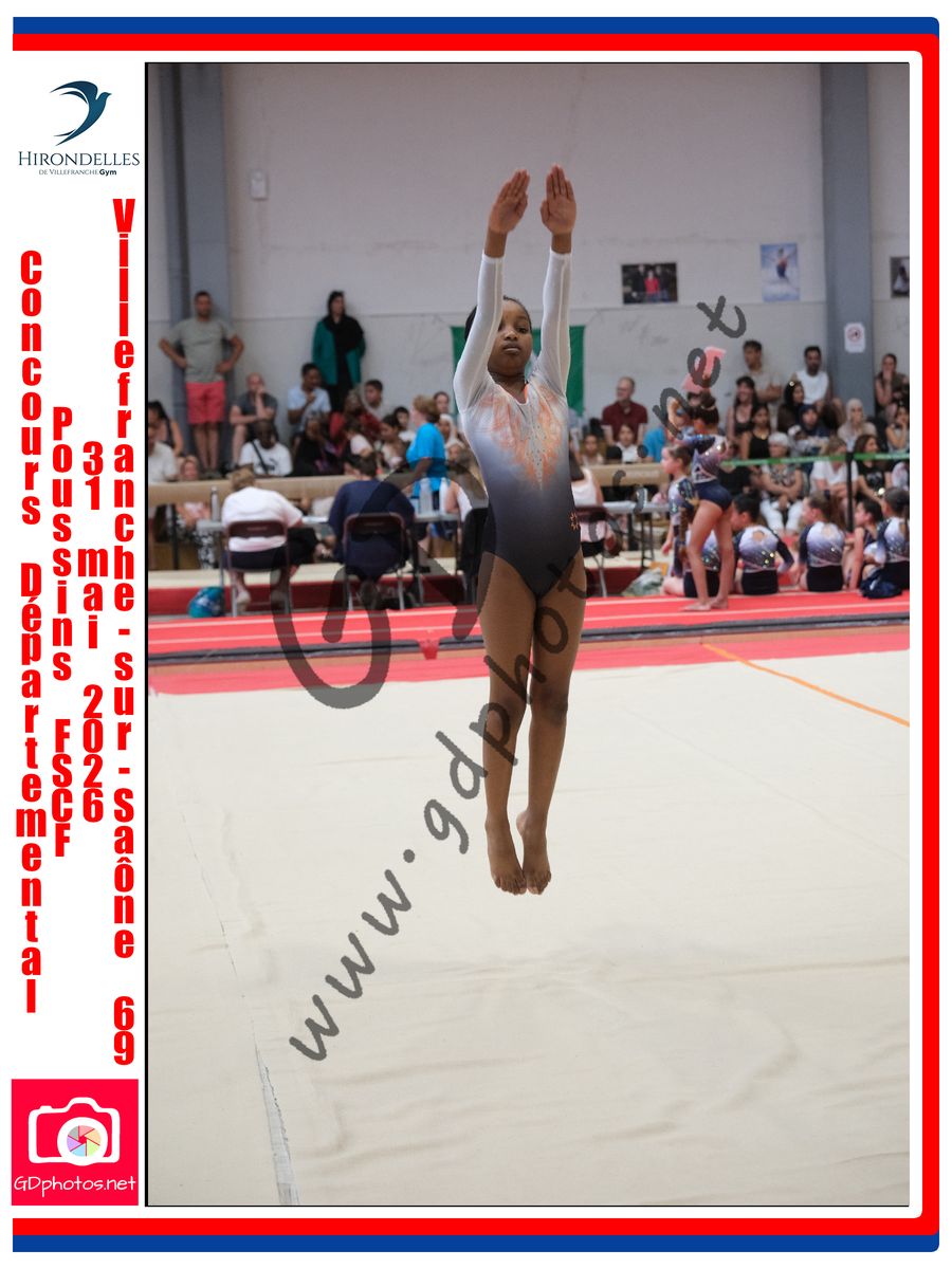 3636901