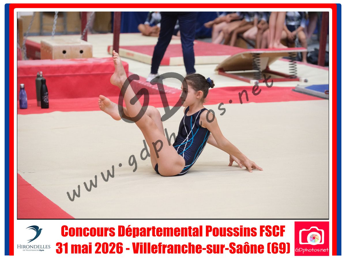 3637019