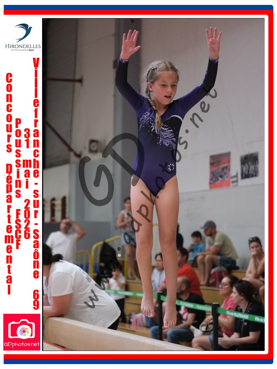 3638161