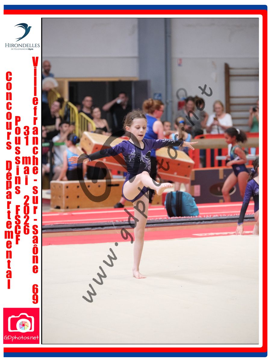 3638318