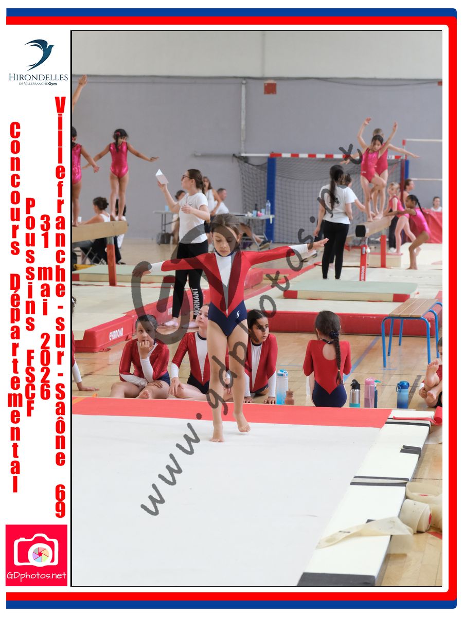 3640307