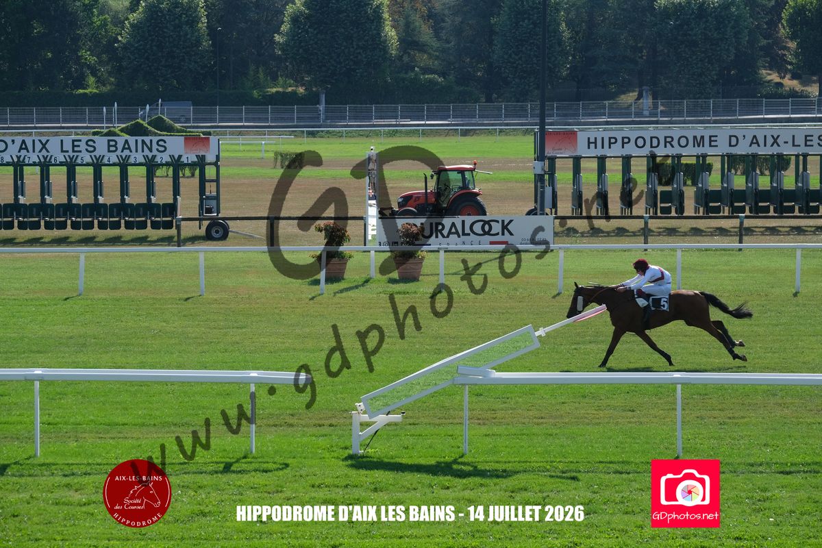 3204033