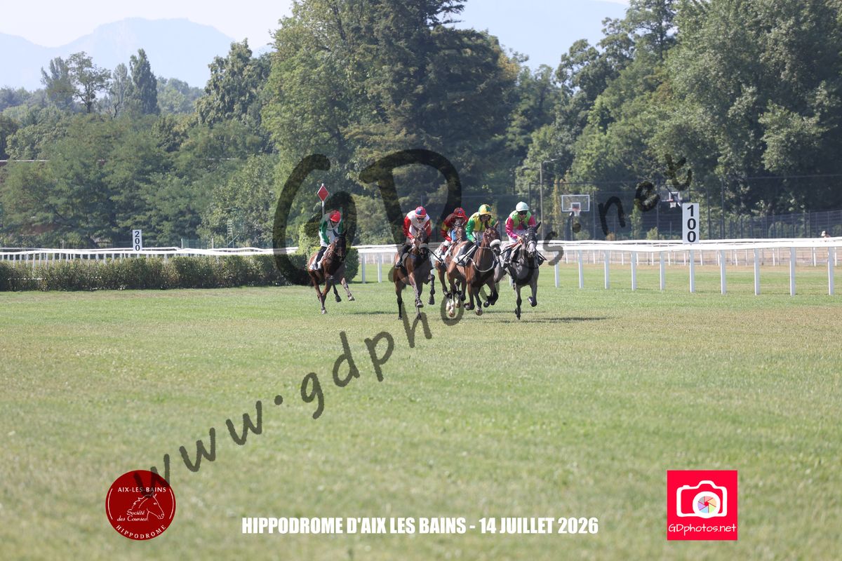 3204228