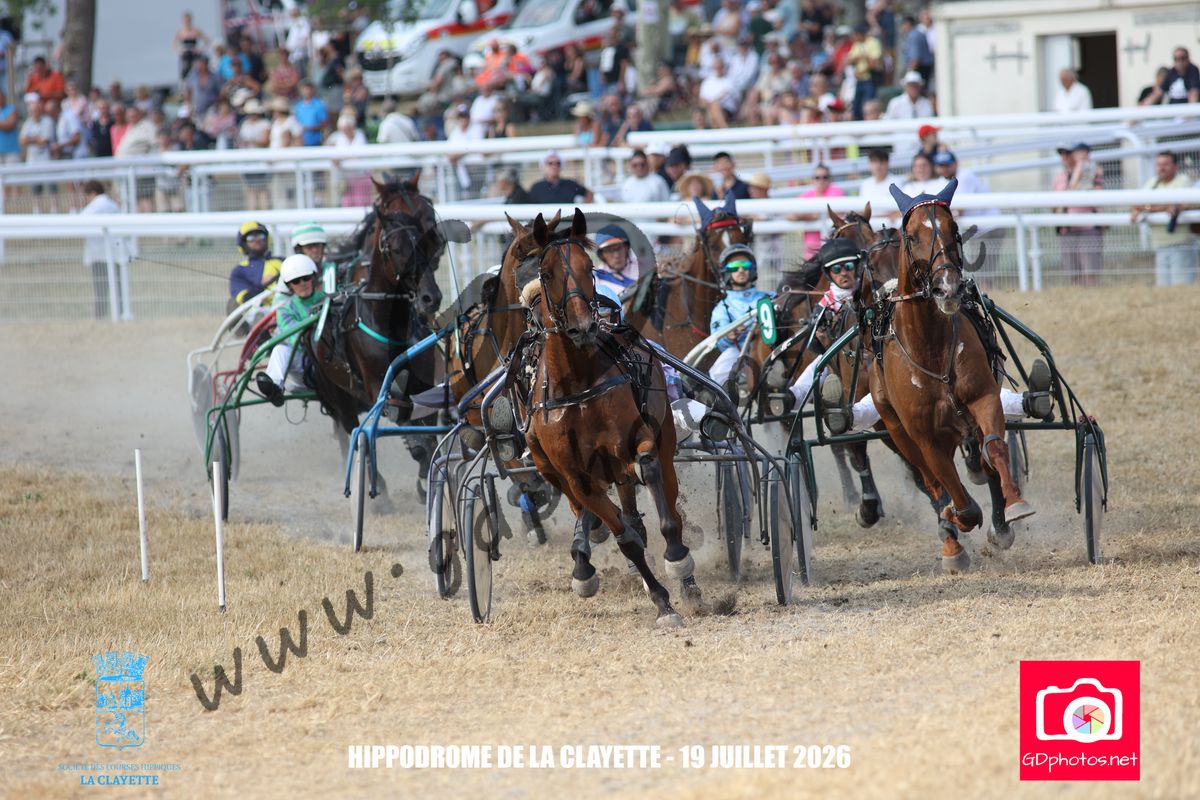 3204835