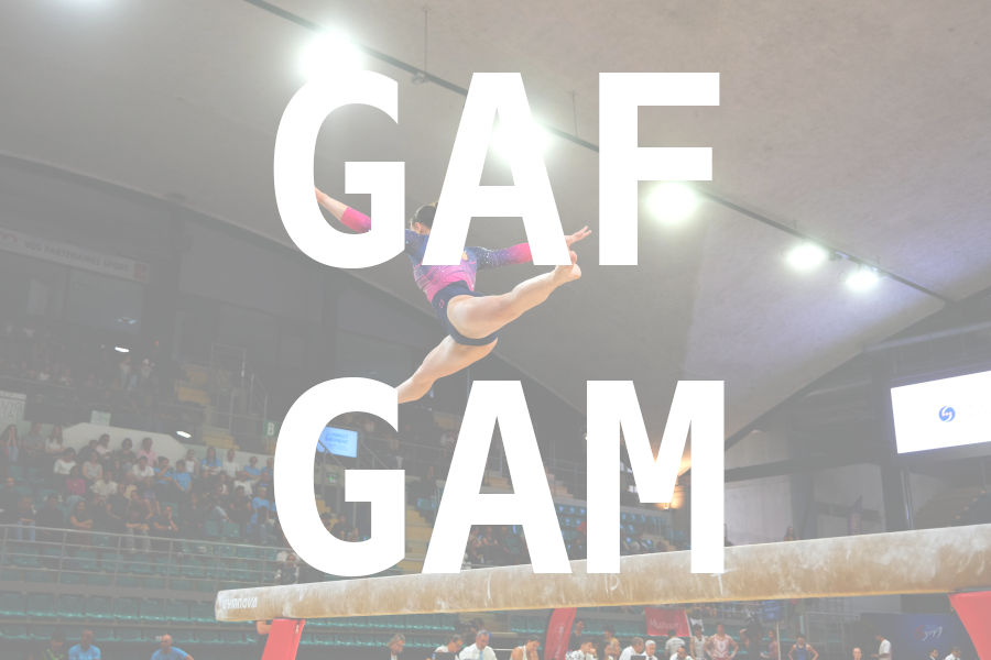 eventDat/miniatures/20260605GYMmulhouse.jpg